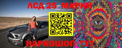 сатива Ставрополь