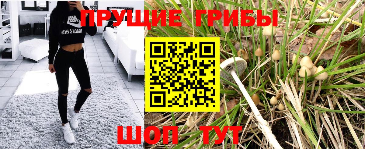 Псилоцибиновые грибы Psilocybine cubensis Нижневартовск